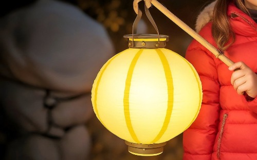 10.11.2025 Martinsumzug, Volksschule Wildalpen