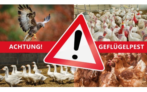 Geflügelpest-Verordnung 2025