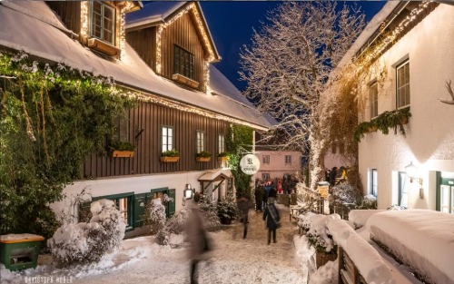 15.11.2025 Punscheln am Markt, Garten Krenn Pürgg