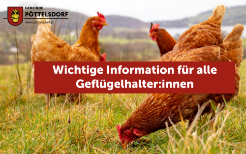 Wichtige Information für alle Geflügelhalter:innen