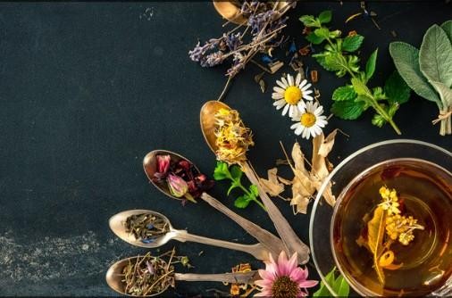 24.01.2026 Workshop Salben rühren, Irdning-Donnersbachtal