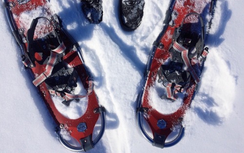 Schneeschuhwanderung auf der Planneralm Schneeschuhwanderung auf der Planneralm