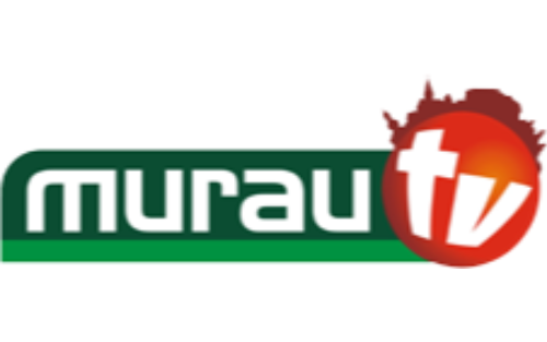 Murau TV sendet im Gemeindegebiet St. Lambrecht u. Neumarkt