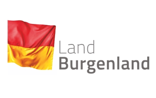 Informationen zur Katzenkastration