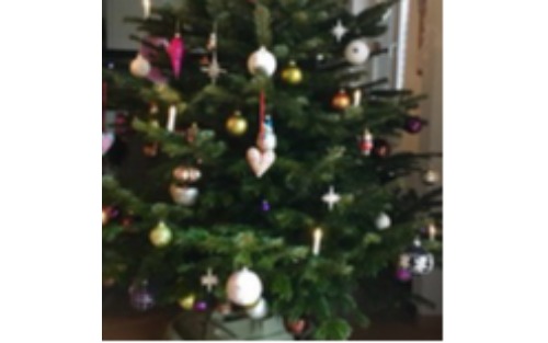 Christbaumentsorgung