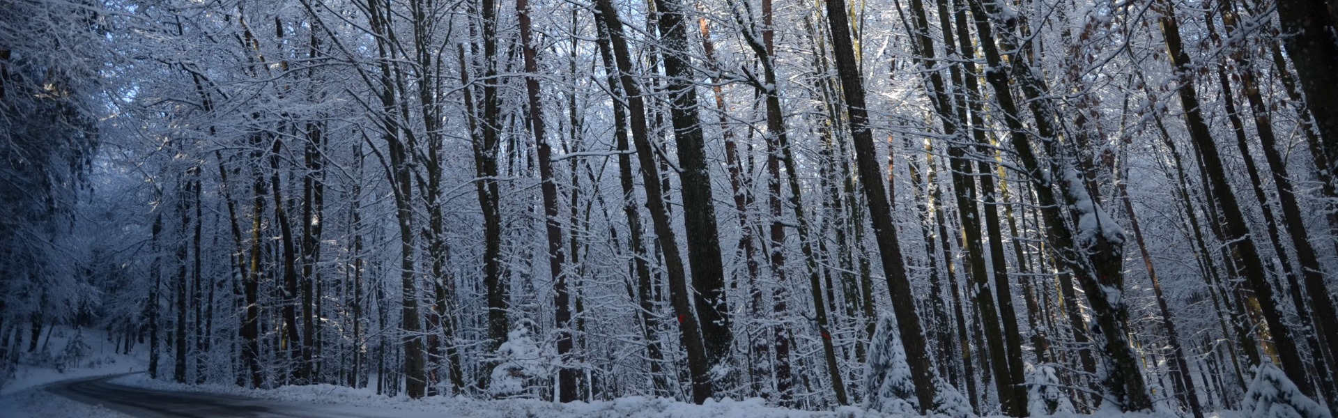 Der Bürgermeister und das gesamte Gemeindeteam wünschen Ihnen eine besinnliche und friedvolle Adventszeit.