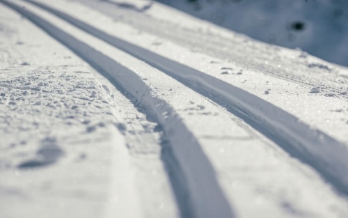 Spuren der Langlaufloipe - Wir sind auf der Suche...