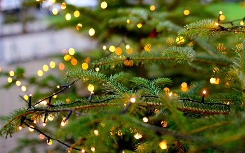 20.12.2025 Kirchenkonzert der Marktmusikkapelle Irdning, Pfarrkirche Irdning