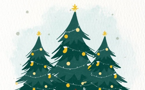 Christbaumverkauf in Kroisbach Christbaumverkauf in Kroisbach