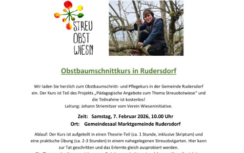 Obstbaumschnittkurs - Wieseninitiative