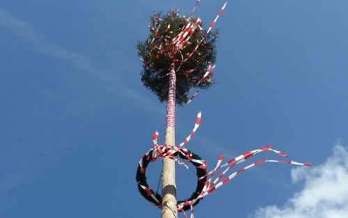 Maibaumaufstellen des SV Frojach