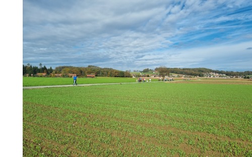 Wanderung am Nationalfeiertag Wanderung am Nationalfeiertag
