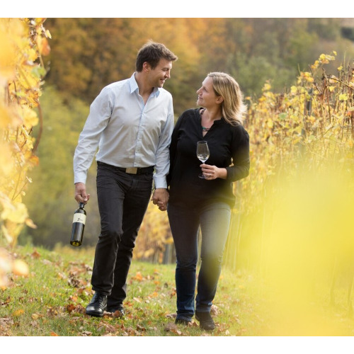 WEIN DOMIZIL Zieger, Weinhof und Urlaubsdomizil