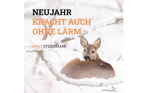 Neujahr kracht auch ohne Lärm