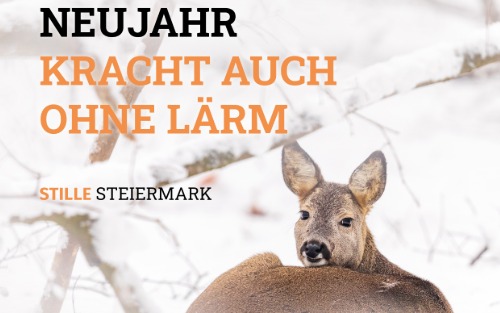 Neujahr kracht auch ohne Lärm