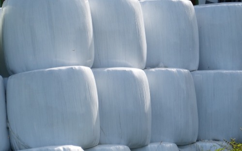 Silofolienentsorgung Greimhalle 2026