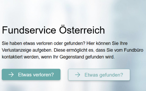 Fundsache - Schlüsselbund in brauner Schlüsseltasche