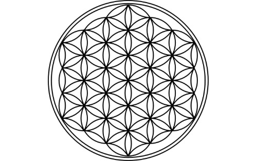 Einführung in die Kinesiologie