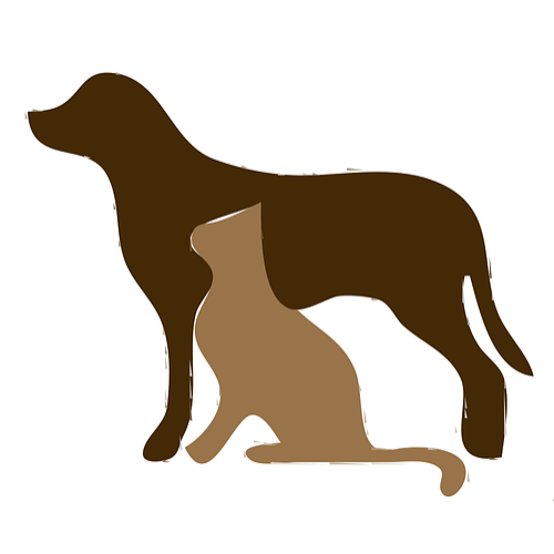 Dr. Gerolf Giselbrecht