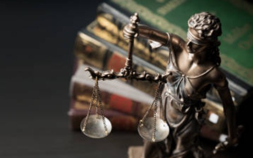 Holzschlägerungsarbeiten L553 Pregerstraße