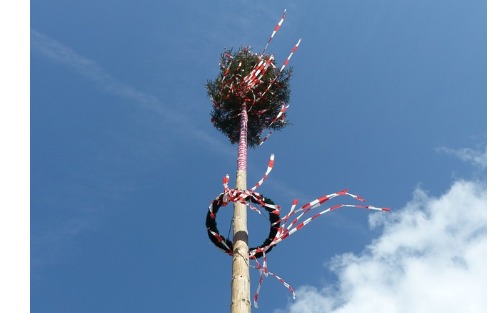 Maibaum aufstellen