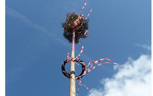 Maibaum aufstellen Verein Jugend Sulz