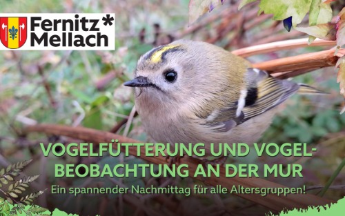 Naturkundliche Exkursion