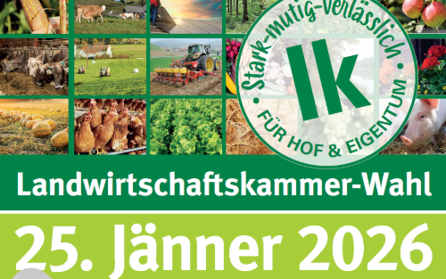 Informationen zur Briefwahl