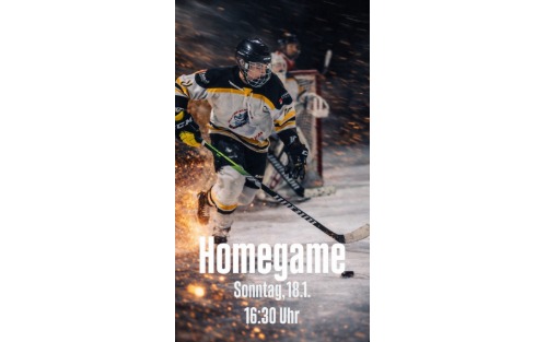 18.01.2026 Heimspiel St. Peterer Haie, Walter-Perner-Greimarena