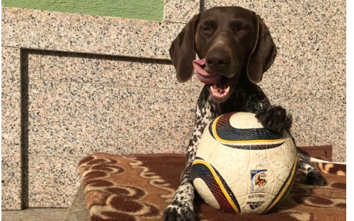 Aussendungen Termine Hundekundenachweis 2026