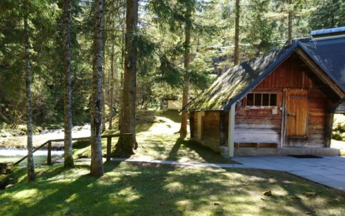 Information zur Waldsauna