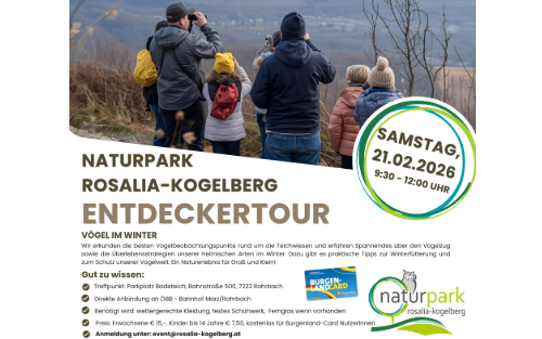 21.02.2026 Entdeckertour -  Vögel im Winter, Rohrbach