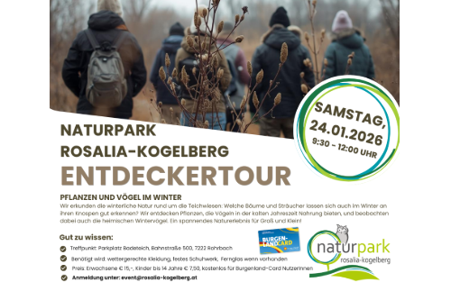 24.01.2026 Entdeckertour - Pflanzen und Vögel im Winter, Rohrbacher Badeteich