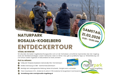 21.02.2026 Entdeckertour - Vögel im Winter, Rohrbacher Badeteich