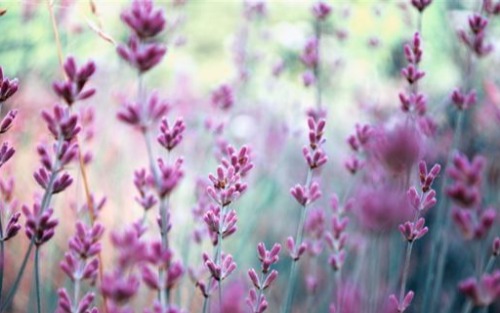 Frühjahrsputz und Altstoffsammelzentrum geöffnet