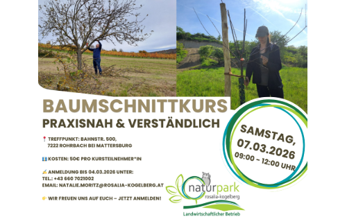 07.03.2026 Baumschnittkurs, Rohrbach