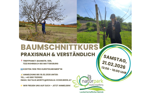 BAUMSCHNITTKURS - Praxisnah & Verständlich