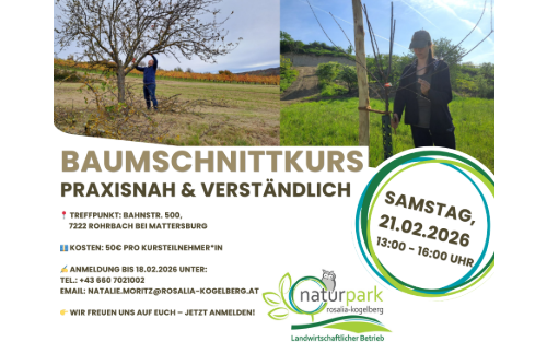 21.02.2026 Baumschnittkurs, Rohrbach
