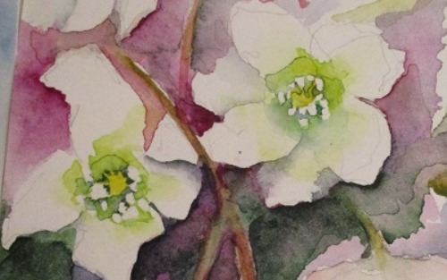 Aquarellmalen mit Ernst Schwaiger 06.03.2026 und 24.04.2026