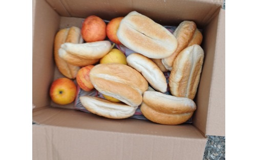 Fehlverhalten beim Entsorgen von Müll bzw. Lebensmitteln