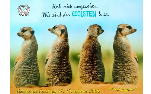 Prinzenpaarabtanzen und Maskenball mit Prämierung