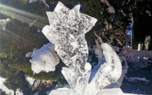 Naturparkprogramm WI 2025/2026