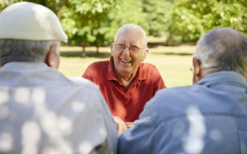 Tagesausflug Parlament und Cobra-Station - Pensionistenverband Scheifling