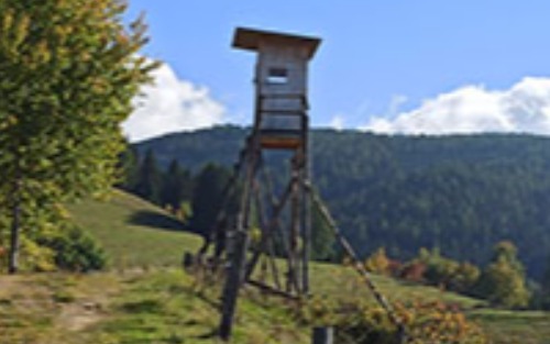 Prüfung zur Erlangung der ersten Jagdkarte - Jungjägerprüfung 2026