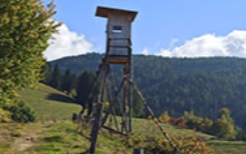 Aufsichtsjägerprüfungen 2026