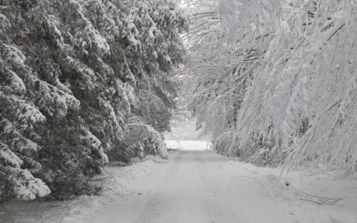 🚨 Achtung Gefahr durch Schneemassen! 🚨