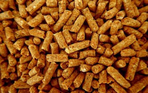 Gemeinsamer Pelletseinkauf