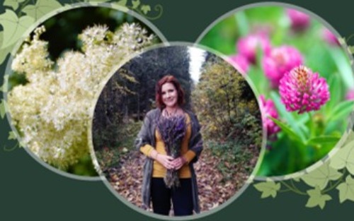 Kräuterwanderung inkl. Sonnwendbüscherl binden