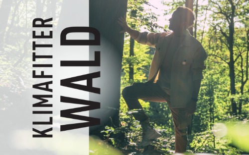 Einladung Waldbegehung „Unser Wald mit Zukunft“  am 11. März 2026