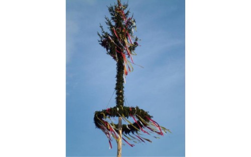 Maibaumaufstellen Heimatverein und ÖKB